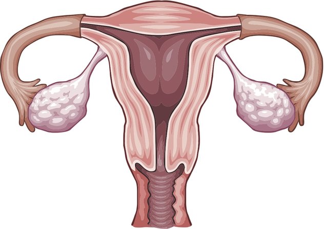 اعراض احتقان الحوض عند النساء
